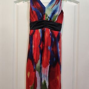 The Limited Vivid Red and Blue Midi Dress